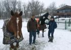 Motley residents Duane Solga and his daughter, April Solga, are pictured at their home property with Birdie (left) and Cisco, two of their horses. The Solgas live on ten acres within the city limits and have invested a lot financially in terms of their hobby, including building a fenced-in pasture for the horses and purchasing an expensive truck to haul them with.  Having horses has been a part of their lifestyle since purchasing their property several years ago and the Solgas are hoping they will continue 