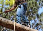 Edward Pappenfuss balances on a log high above the ground at the Camp Shamineau high ropes course. Connections High School students participated in activities at the camp on May 20.